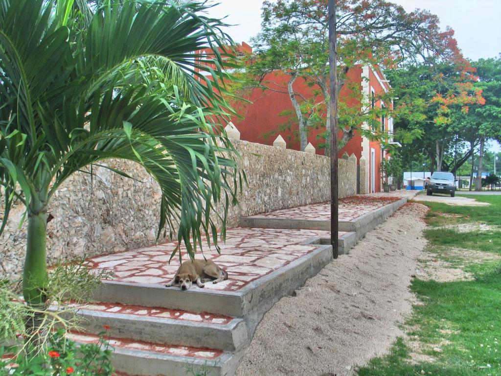 Casa De Los Pianos Uayma Exterior photo